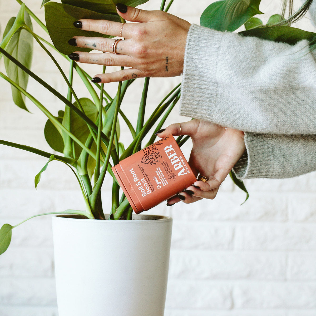 Organic Soil & Root Boost Default Title Austin Jungle Co.