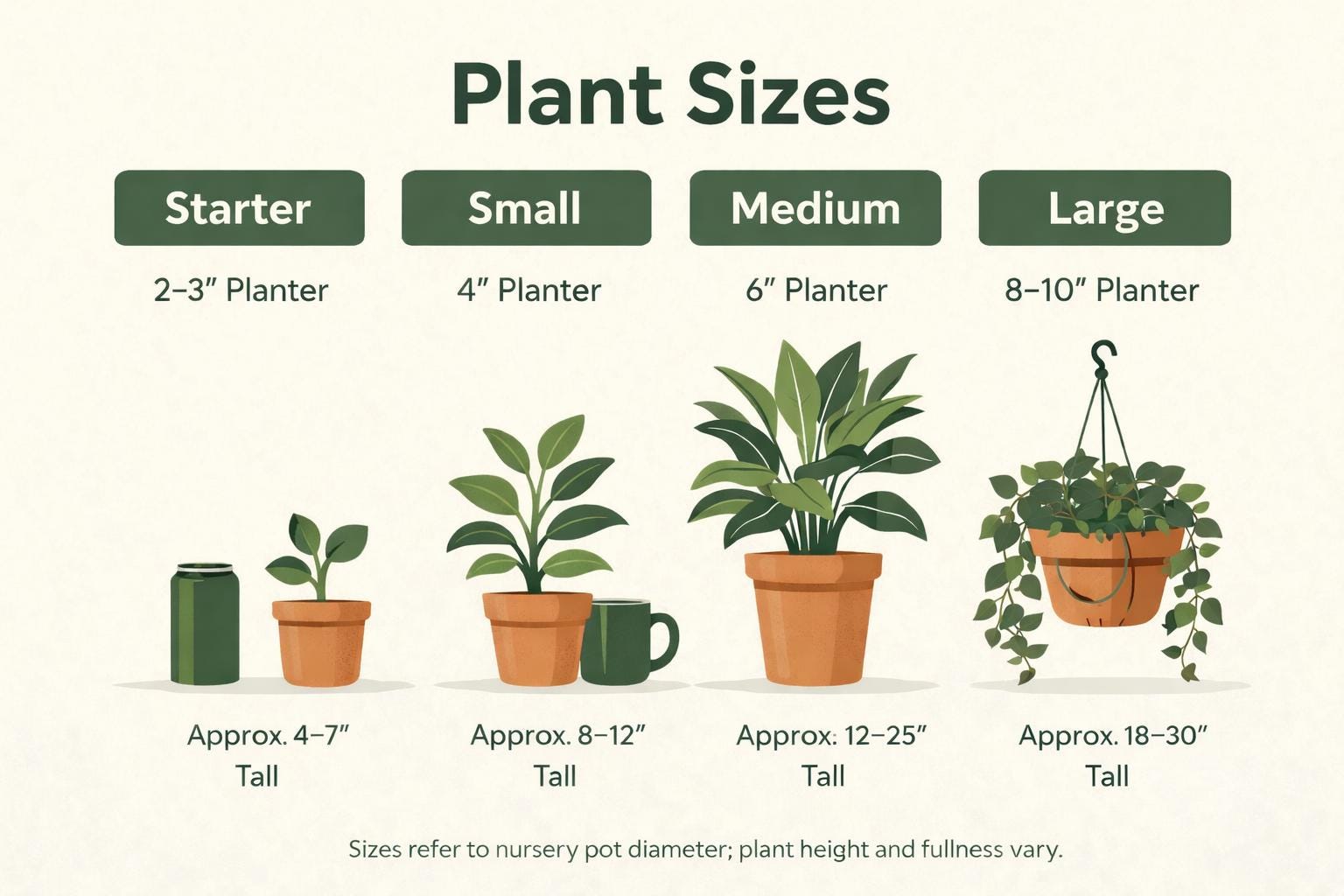 Velvet Forest Default Title Austin Jungle Co.