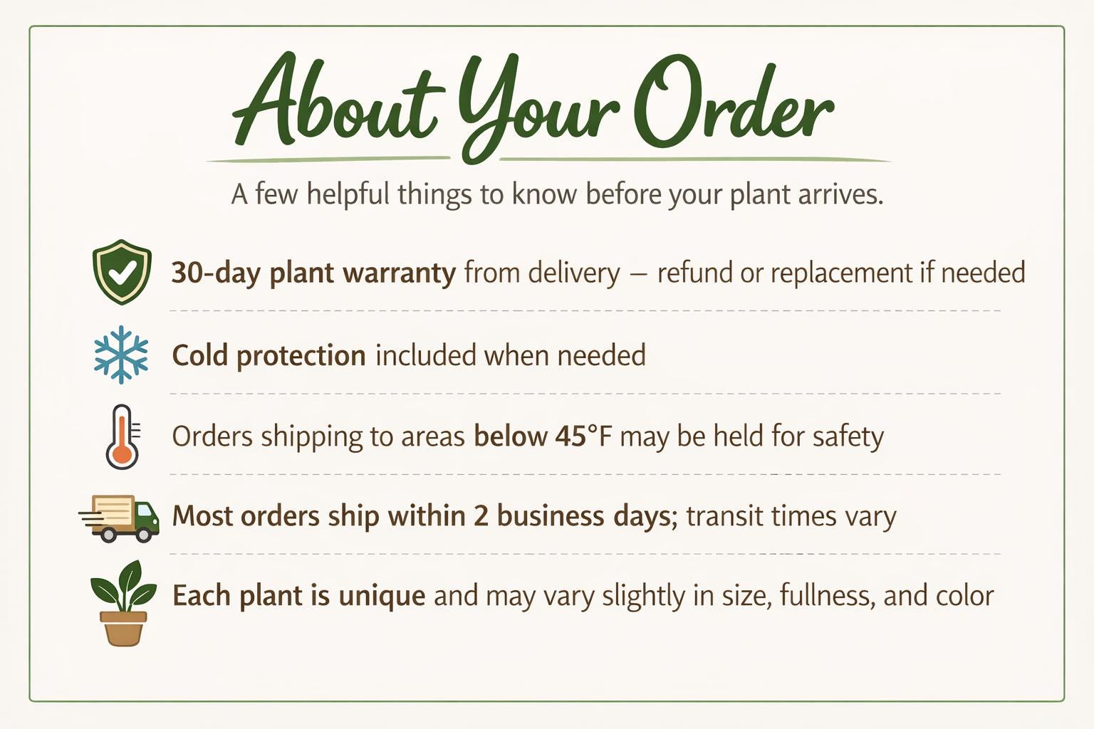 2 Syngonium Variety (Arrowhead Plant) - 4" Pot 4" Plant (2pk/$2) ($10 Ship/31oz) 4" Pot Austin Jungle Co.